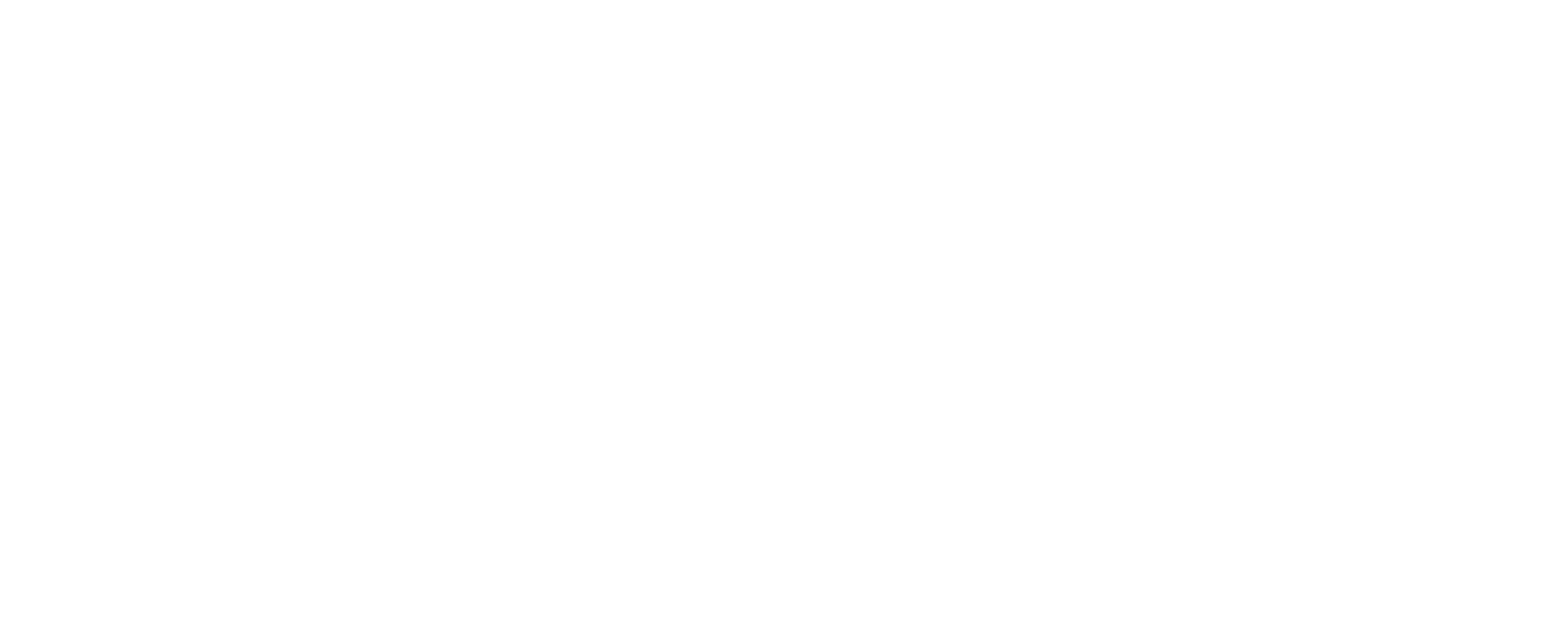 Logo FinSight Blanc